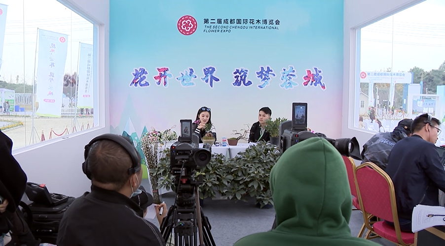 不一样的“云上花博”