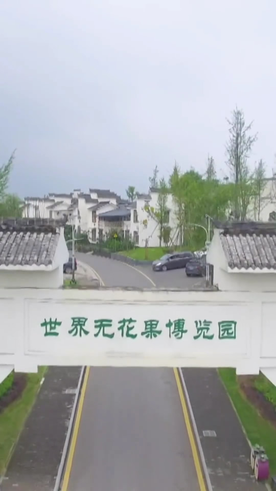 无花果