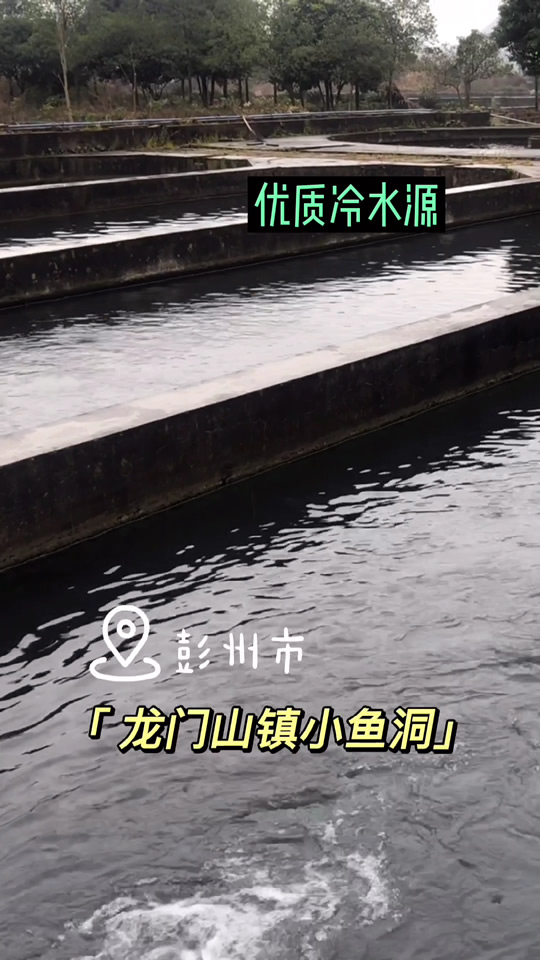 彭州冷水鱼