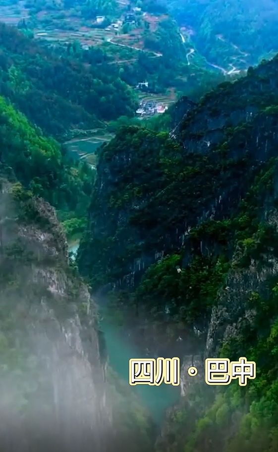 巴中高山蜂蜜