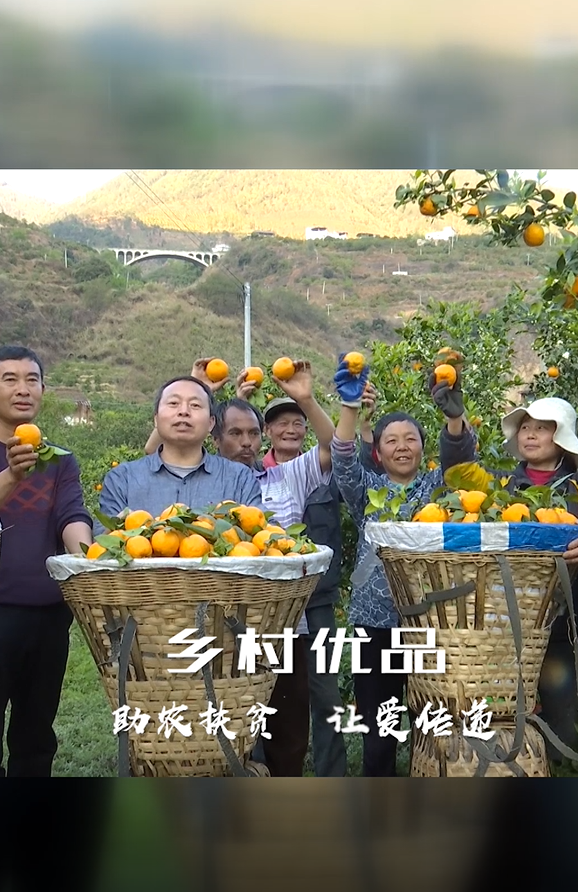 雅安石棉黄果柑