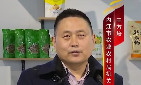 <b>甜城味</b>