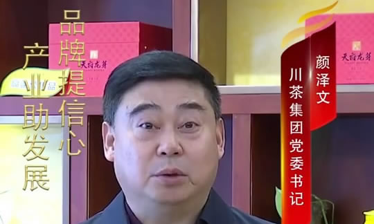 <b>天府龙芽</b>